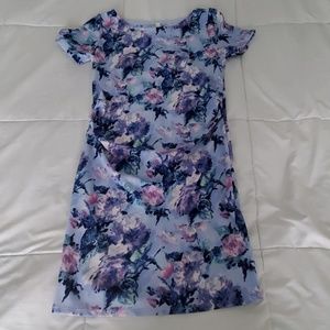 Pinkblush Maternity Dress